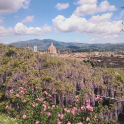Passione Giardino a Firenze